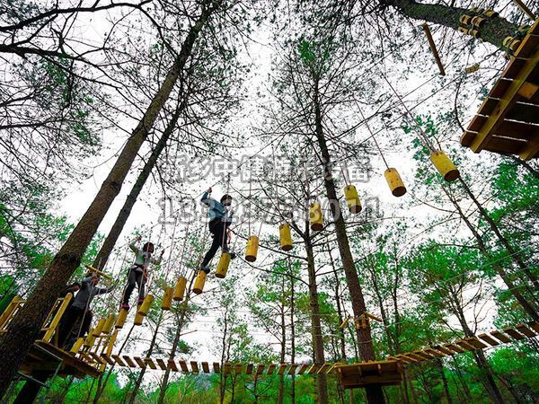 景區(qū)為什么要搭建叢林穿越設備？
